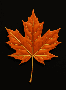 Maple Leaf